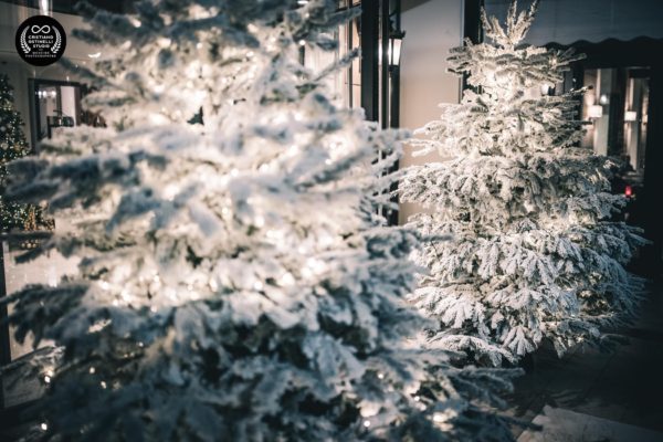 winter-wedding